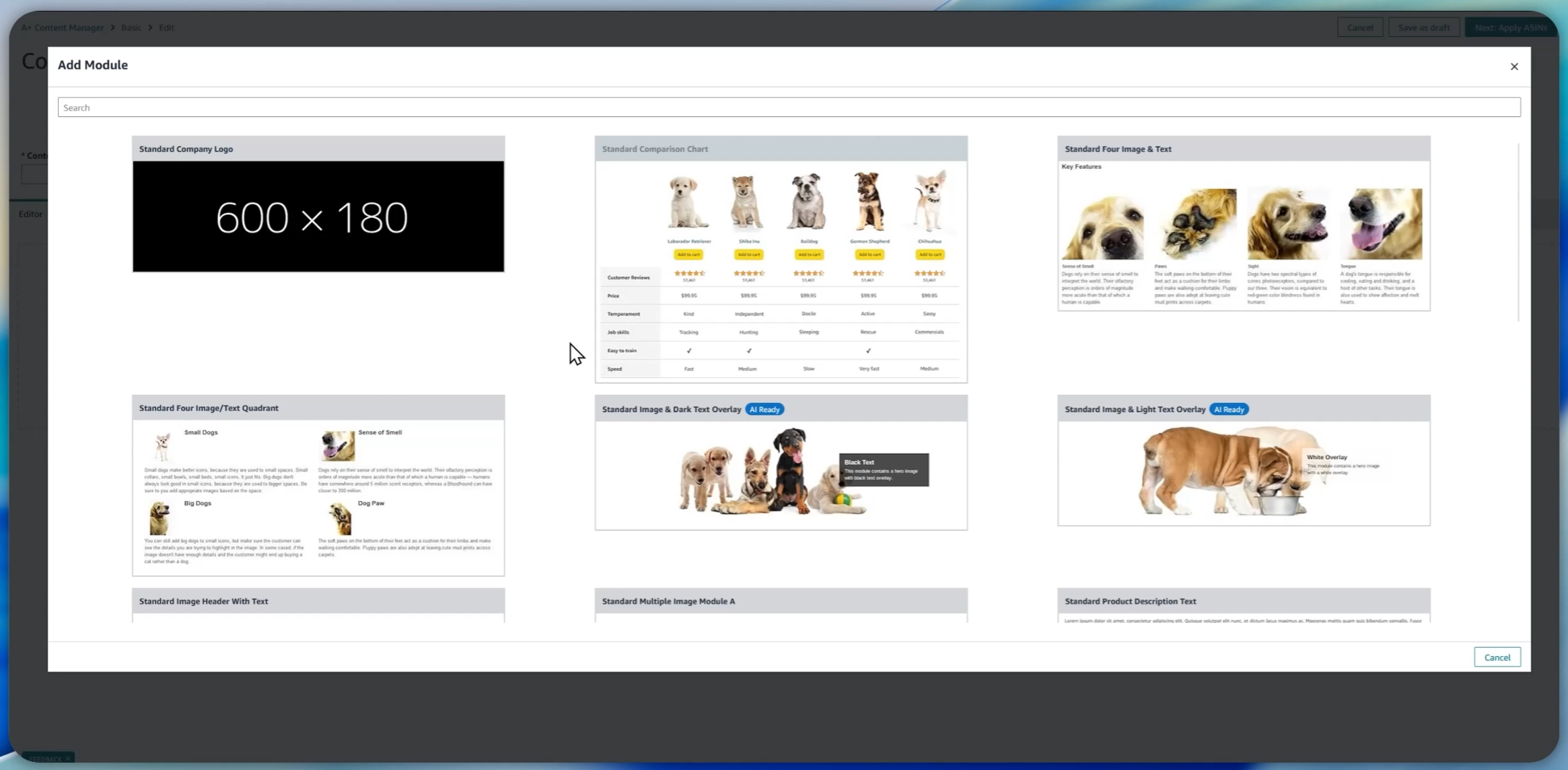 A+ Content Image Creation Method to Cut Time and Cost in Half